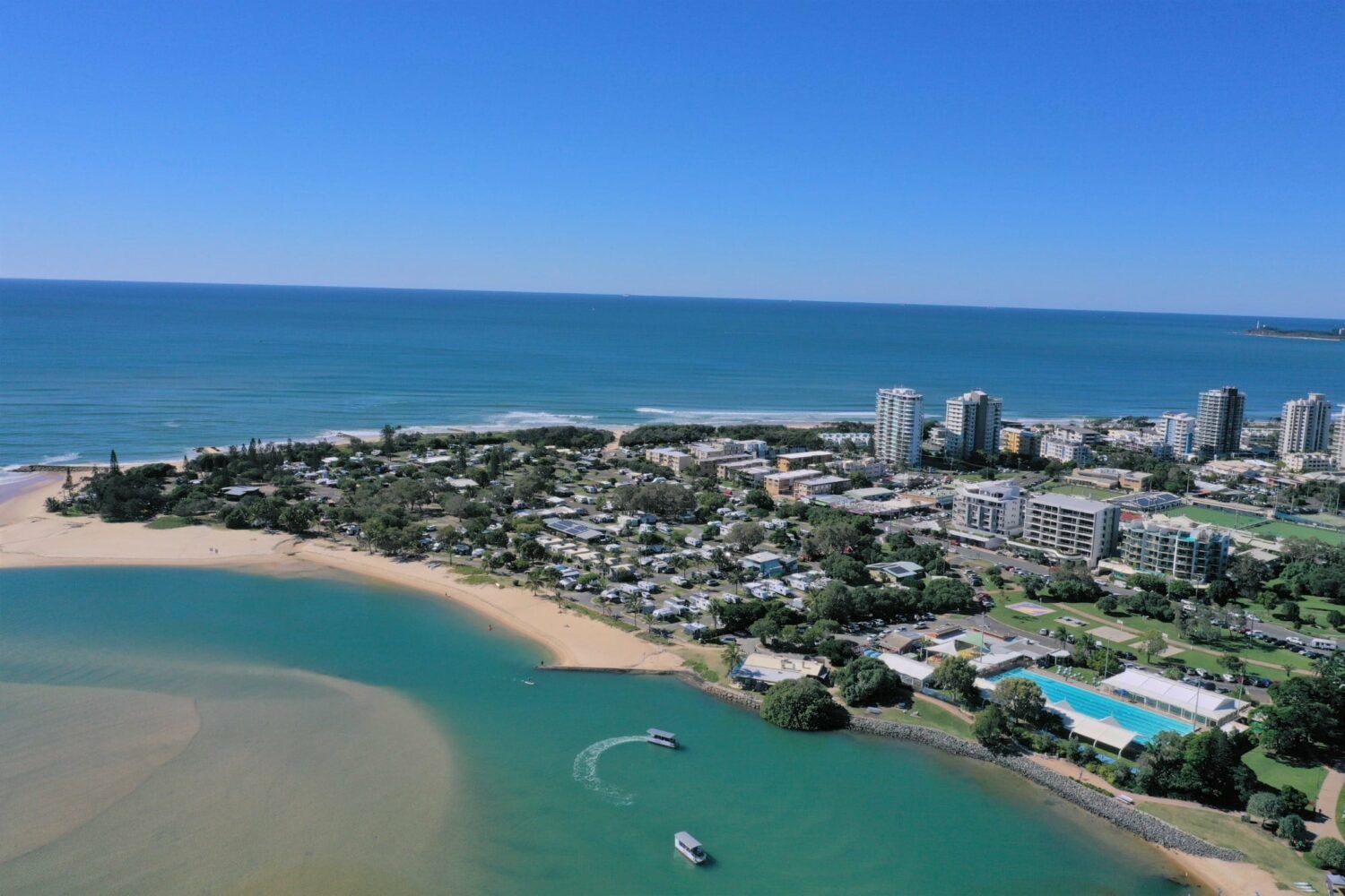 Maroochydore Sunshine Coast - Rovera Cotton Tree